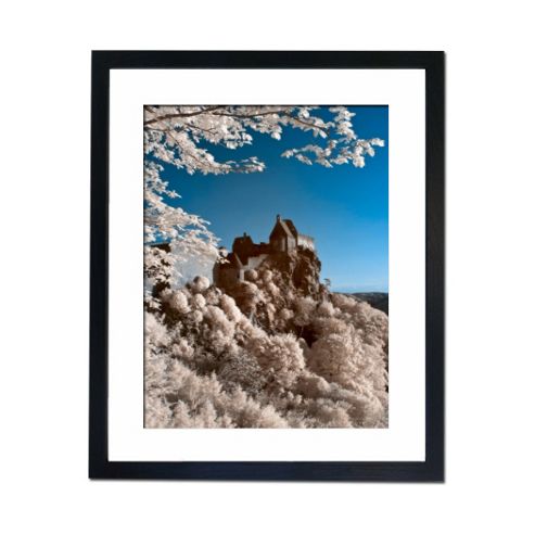 Image of Culture Decor Blossom Temple Wall Art