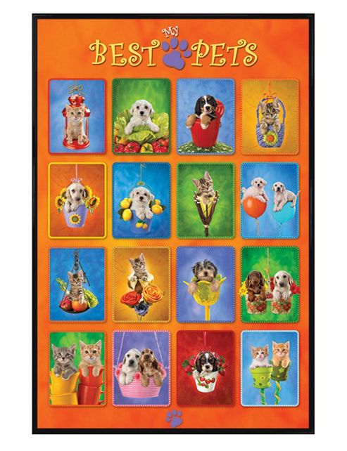 Image of My Best Pets Gloss Black Framed Puppy And Kitten Collage Poster