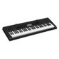 Casio CTK-3200 61 Note Piano Style Keyboard