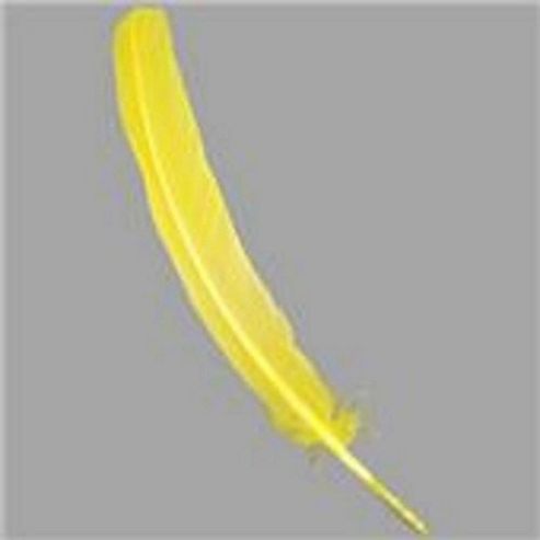 Image of Quill Feathers Yellow 12 Pk
