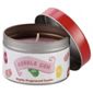 Jelly Belly Tin, Bugglegum