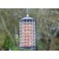 Squirrel resistant peanut feeder