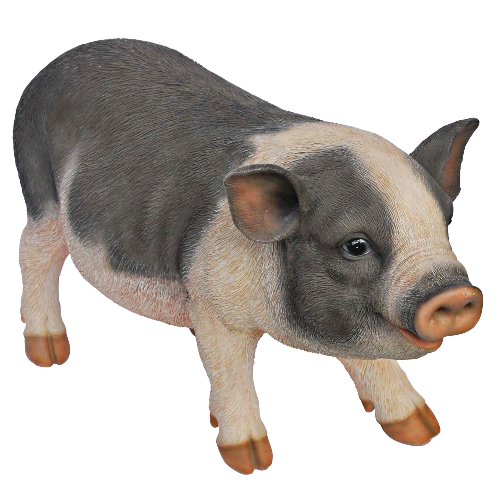 clipart pot bellied pig - photo #7