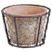 Fallen Fruits Aged Terracotta Pot In Wire Basket