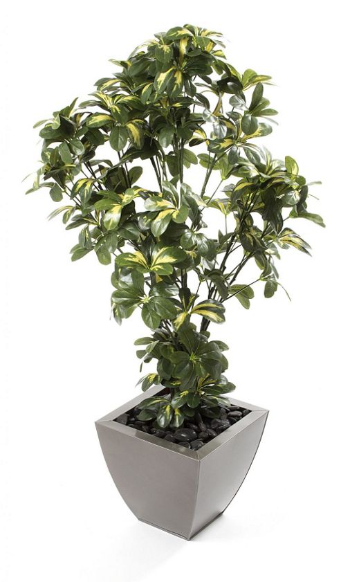 Image of Artificial 4ft Schefflera Plant
