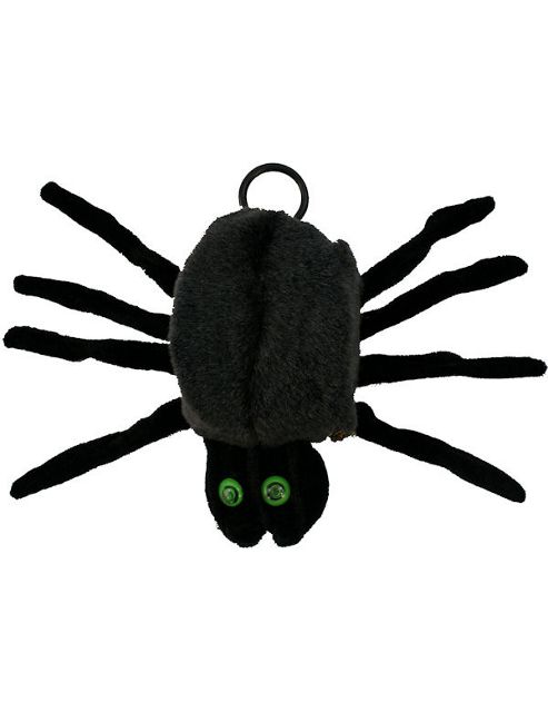 Image of Dropping Down Spider
