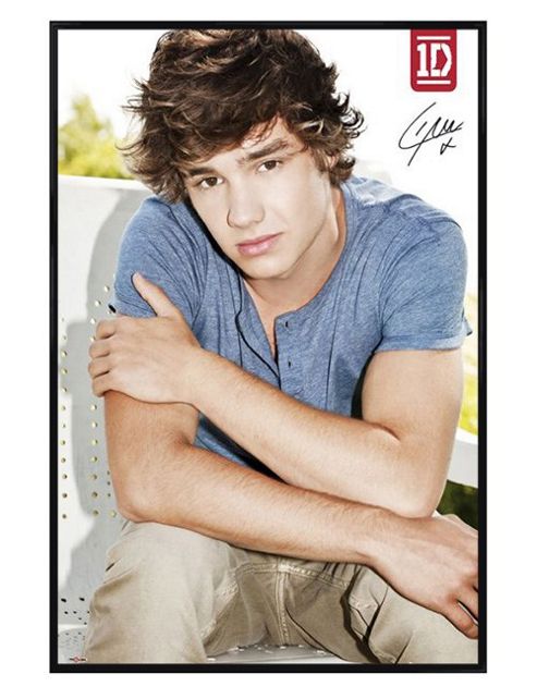 Image of One Direction Gloss Black Framed Liam Payne 1d Poster