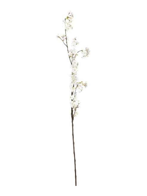 Image of Linea Cherry Blossom Branch