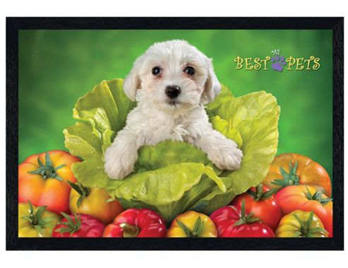 Image of My Best Pets Black Wooden Framed Terrier In Trouble Poster