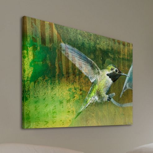 Image of Parvez Taj Violetear Canvas Wall Art - 41 Cm H X 61 Cm W X 5 Cm D
