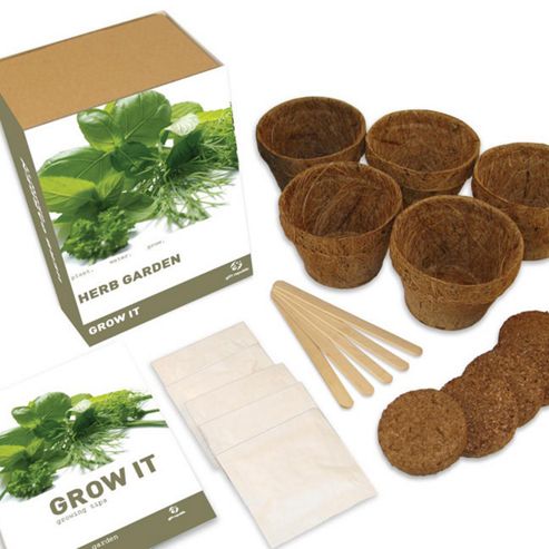 Image of 5 Herb Plants Grow It Kit