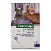 Advantage 80 for Large Cat and Rabbit (4 pipettes)