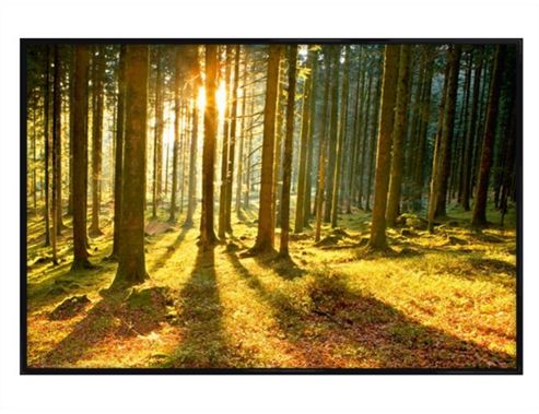 Image of Sunset Through The Trees Gloss Black Framed Sunbeams Poster