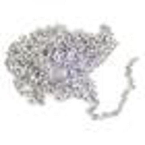 Image of Stainless Steel Chain 1mt