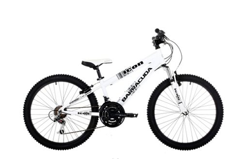 Image of Barracuda Icon 14/24"" Alloy Bicycle