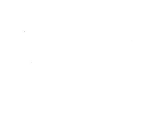 Image of Canford Card A1 Ice White