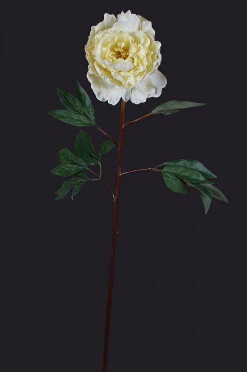 Image of Artificial 78cm Single Stem White Peony