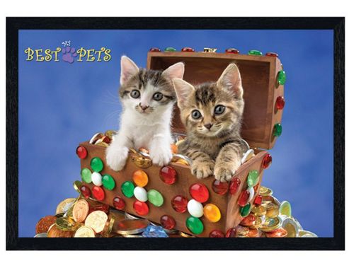 Image of My Best Pets Black Wooden Framed Kitten Treasure Poster