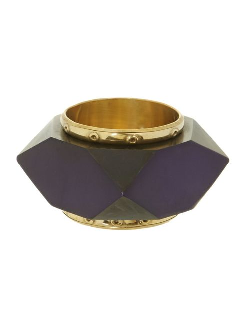 Image of Pied A Terre Jewel Resin Napkin Ring