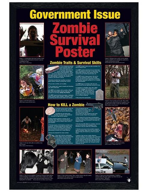 Image of Black Wooden Framed Zombie Survival Poster