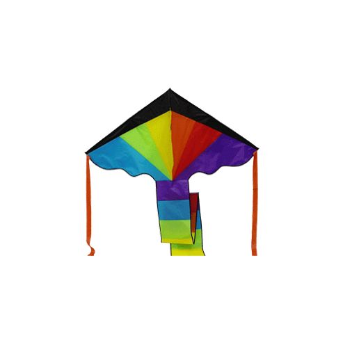 Image of Giant Delta Rainbow Flyer With 180cm Wingspan