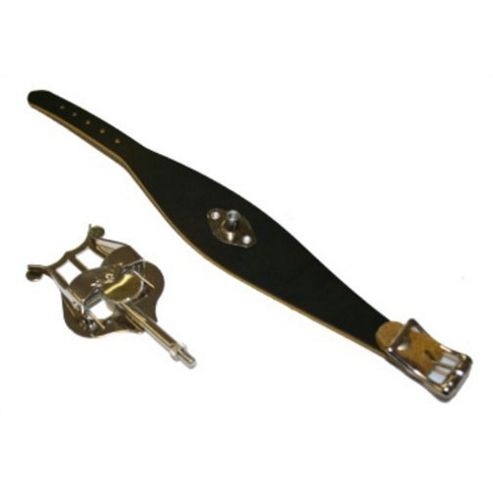 Image of Selmer 1759 Flute Lyre