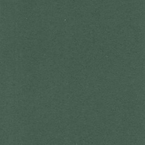 Image of Canford Paper A4 Forest