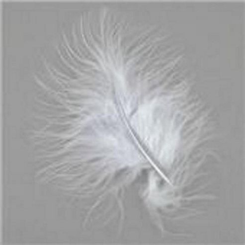 Image of Marabou Feathers White