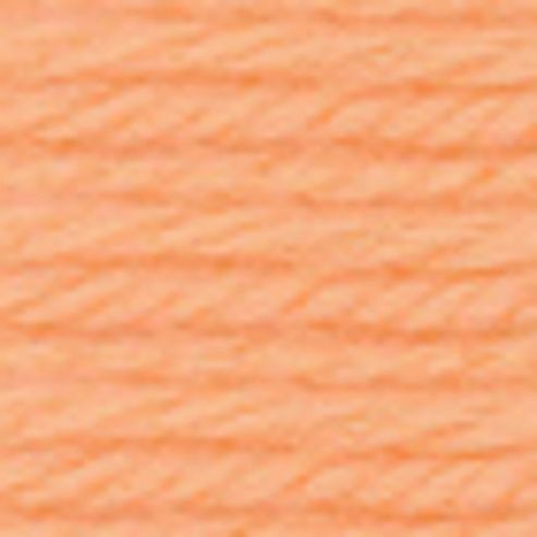 Image of Anchor Tapestry Wool 10mt 8304