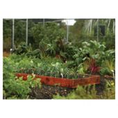 Rowlinson Vegetable Box