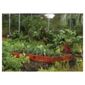 Rowlinson Vegetable Box