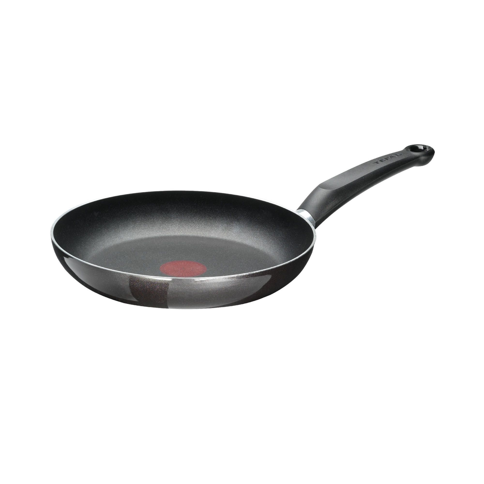 Tefal Specifics 26cm Frypan