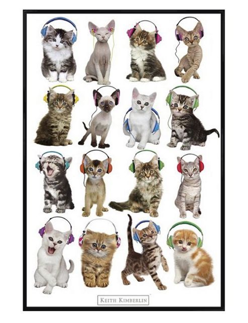 Image of Keith Kimberlin Gloss Black Framed Cool Cats In Headphones Poster