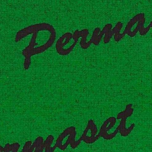 Image of Permaset Aqua Super Cover 300ml Mid Green