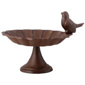 Fallen Fruits Bird Bath