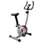One Body Magnetic Exercise Bike with Handpulse