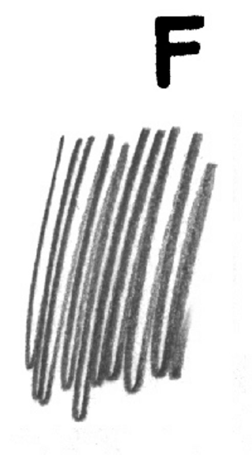 Image of Lumograph Pencils F