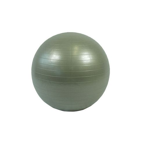 Image of Bodymax Anti Burst Gym Ball - 55cm (silver)
