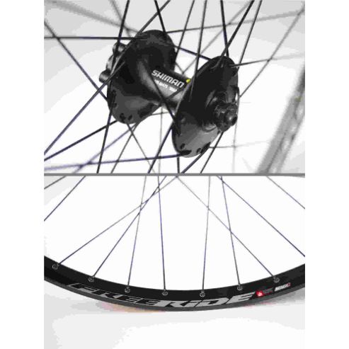 Image of Momentum Bezerk Fr/m475 26 Disc Wheel: Front