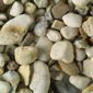 Cream Pebbles Decorative Stone
