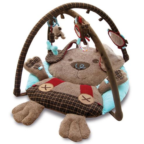 Image of Little Bird Told Me Percy Pup Multi-activity Playgym