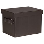 Faux Leather Small Trunk