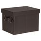Faux Leather Small Trunk