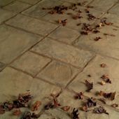 Stamford Autumn Brown 450x300 Paving