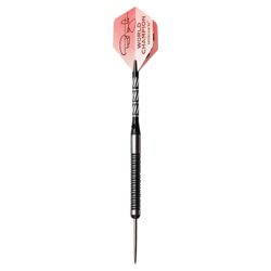 Phil Taylor World Champion Darts