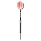 Phil Taylor World Champion Darts