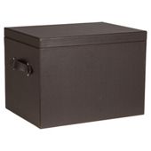 Faux Leather Trunk