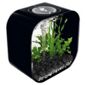 30 litre Bi-Orb life