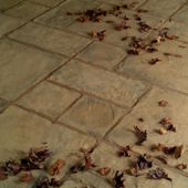 Stamford Autumn Brown 300x300 Paving