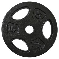 One Body 5Kg Cast Iron Weight